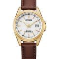 Часы Citizen Eco-Drive EC1183-16A